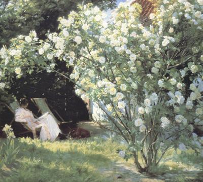 Peder Severin Kroyer Roses Garden in Skagen (nn02)